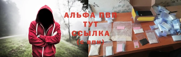 тгк Володарск
