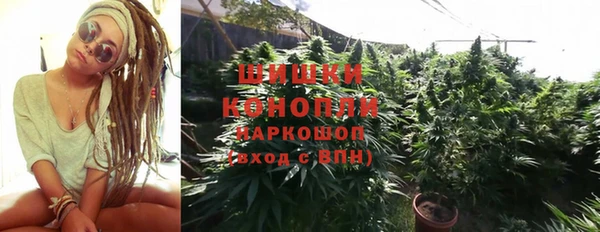 ГАЛЛЮЦИНОГЕННЫЕ ГРИБЫ Волоколамск