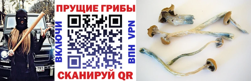 Галлюциногенные грибы прущие грибы  mega сайт  Черемхово 